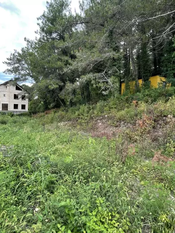 Участок в Краснодарский край, Сочи Сосновый Бор СНТ,  (5.6 сот.) - Фото 2