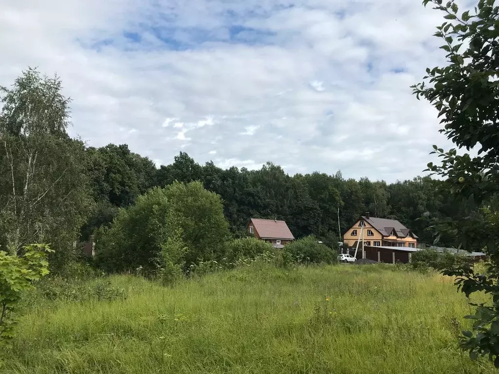 Участок в Московская область, Серпухов городской округ, д. Воздвиженка ... - Фото 2