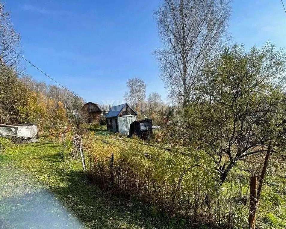 Дом в Новосибирская область, Новосибирский район, Барышевский ... - Фото 1