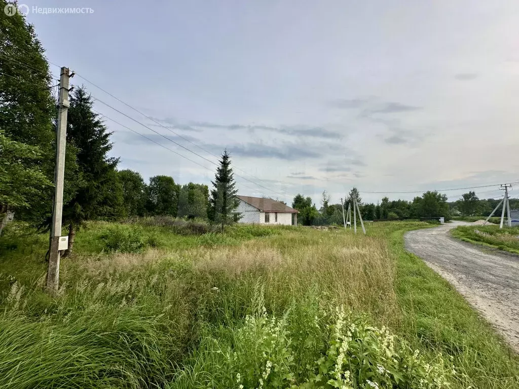 Участок в Калужская область, Жуковский муниципальный округ, деревня ... - Фото 1