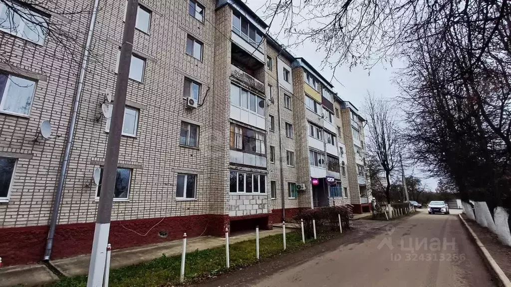 1-к кв. Брянская область, Выгоничский район, Кокинское с/пос, с. ... - Фото 1