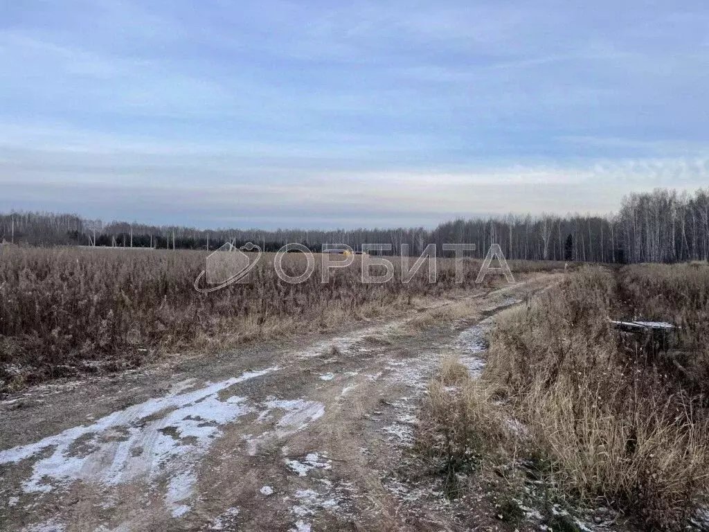 Участок в Тюменская область, Тюменский муниципальный округ, с. Кулига ... - Фото 2