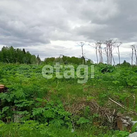 Участок 11 сот. (ИЖС) - Фото 0