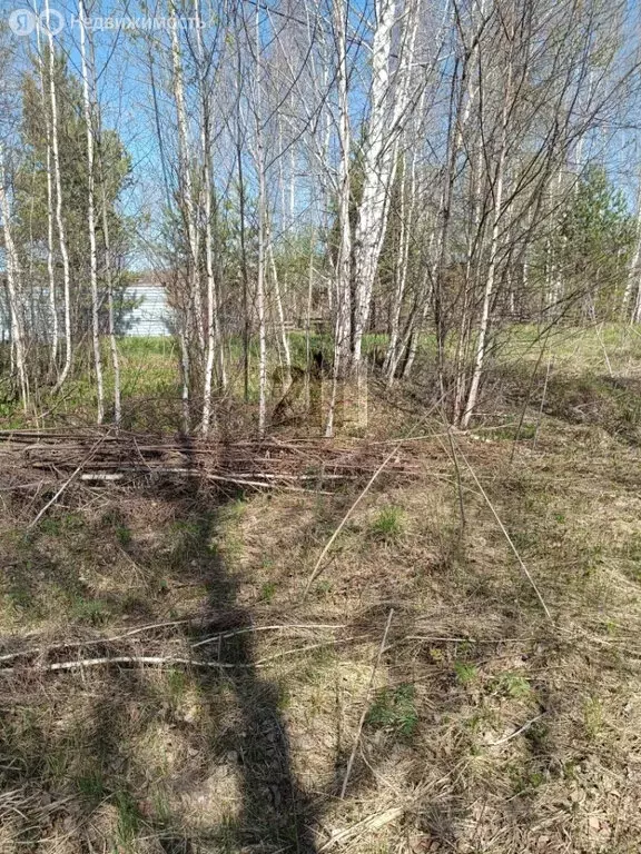 Участок в Свердловская область, Белоярский муниципальный округ, ... - Фото 1