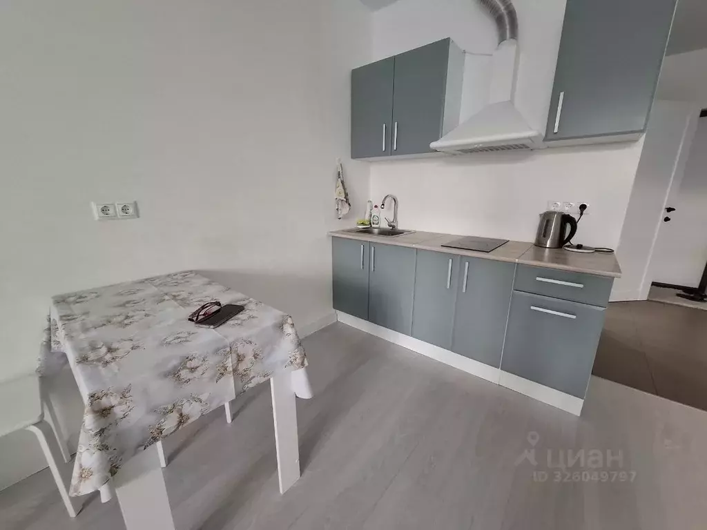 Студия Московская область, Старая Купавна Богородский городской округ, ... - Фото 2