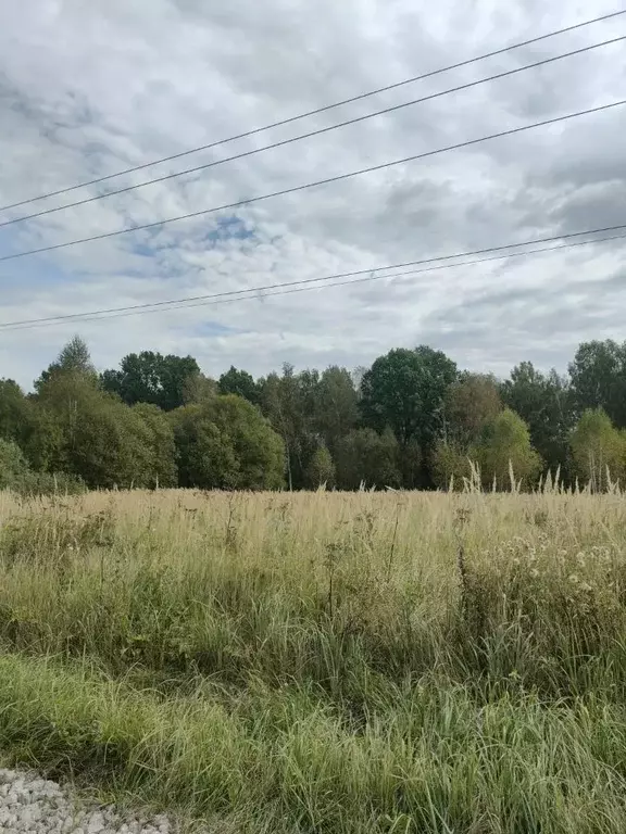 Участок в Московская область, Ступино городской округ, д. Акатово ул. ... - Фото 0