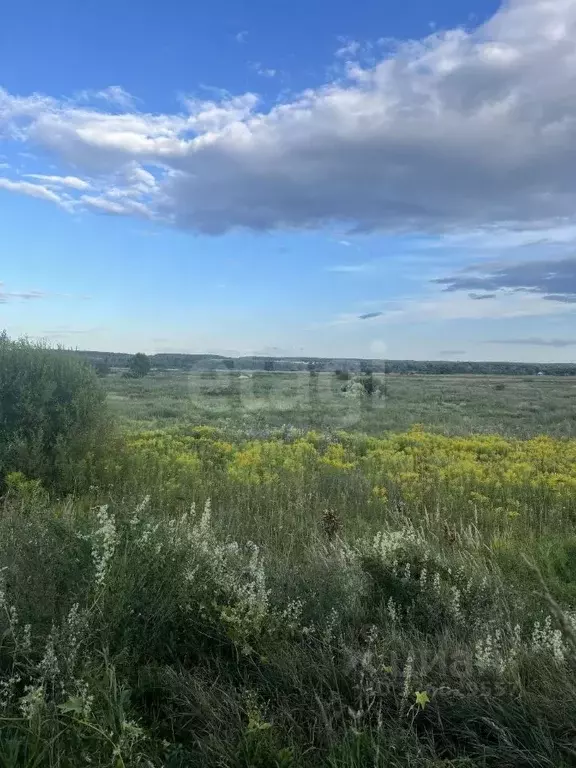 Участок в Тульская область, Дубенский район, Протасовское с/пос, с. ... - Фото 1