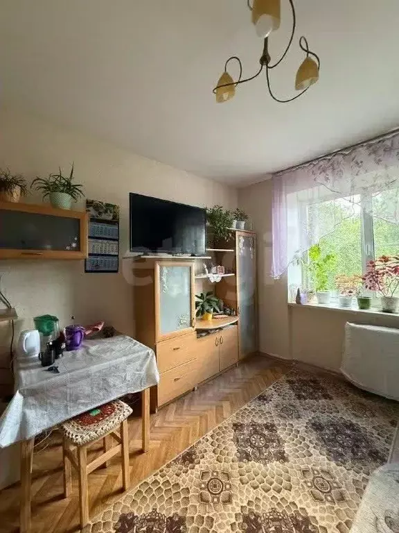 Комната Санкт-Петербург просп. Солидарности, 29К1 (12.8 м) - Фото 1
