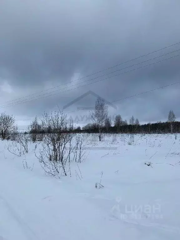 Участок в Калужская область, Дзержинский район, Рудня с/пос, д. Рудня ... - Фото 1