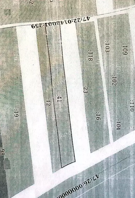 Участок в Ленинградская область, Волосовский район, д. Клопицы  (35.0 ... - Фото 1