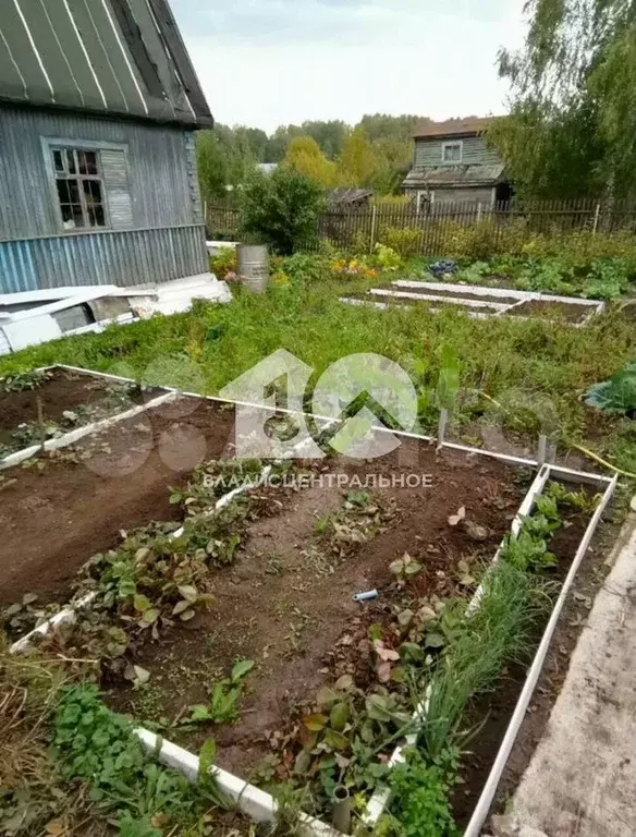 Участок 5,1 сот. (СНТ, ДНП) - Фото 1