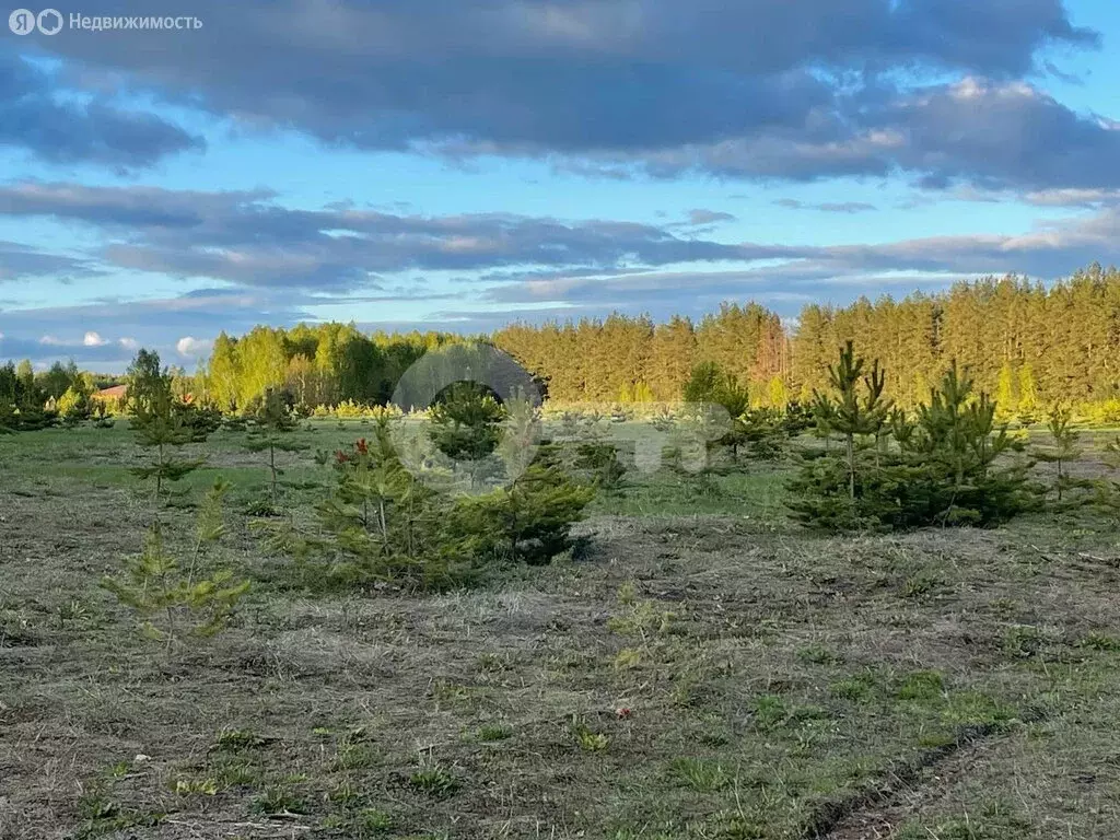 Участок в деревня Тагашево, улица Космонавтов (26.4 м) - Фото 0