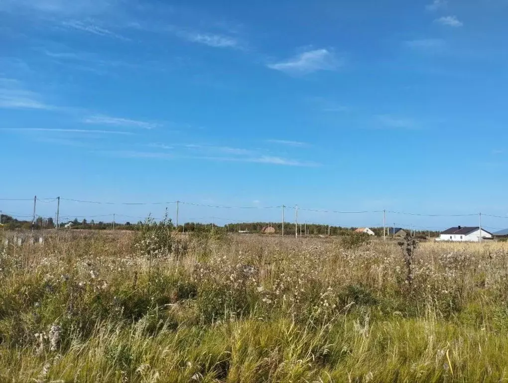 Участок в Костромская область, Кострома ул. Анатолия Соколова (10.2 ... - Фото 2