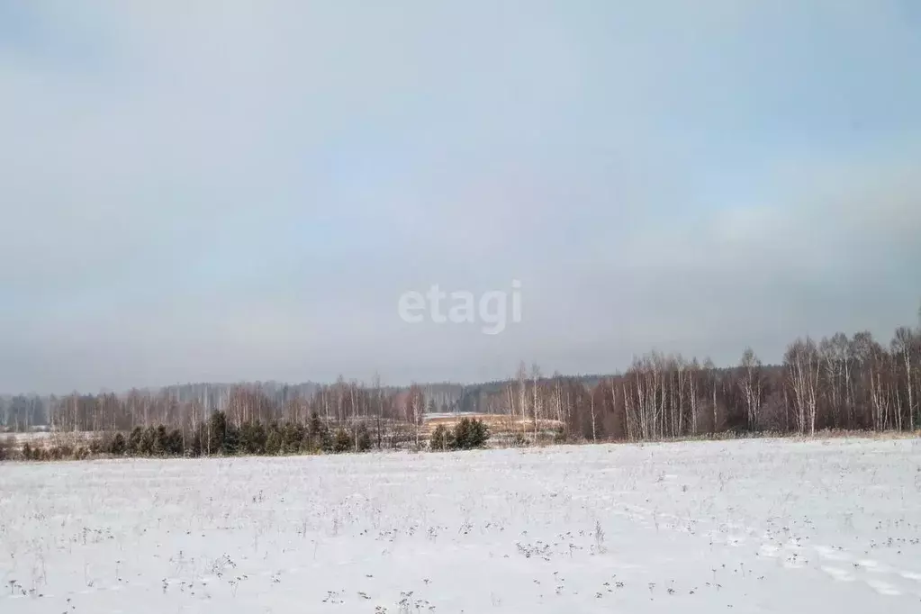 Участок в Свердловская область, Заречный муниципальный округ, с. ... - Фото 1