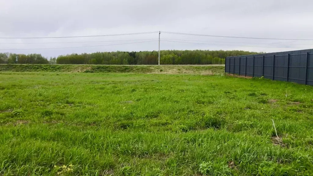 Участок в Московская область, Домодедово городской округ, д. Шишкино, ... - Фото 0