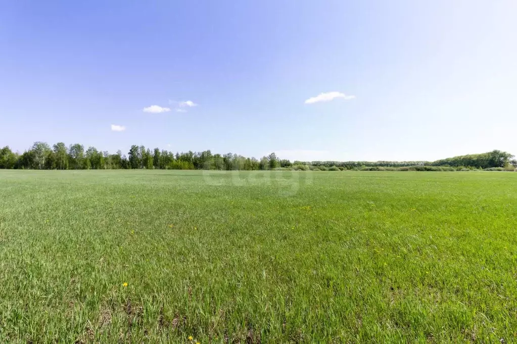 Участок в Тюменская область, Тюмень  (8.75 сот.) - Фото 1