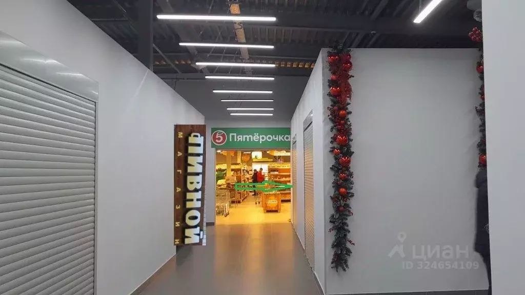 Помещение свободного назначения в Москва д. Десна, ул. Центральная, 1Б ... - Фото 2