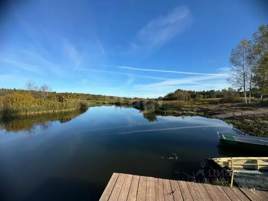 Участок в Костромская область, Красносельский район, Шолоховское ... - Фото 2