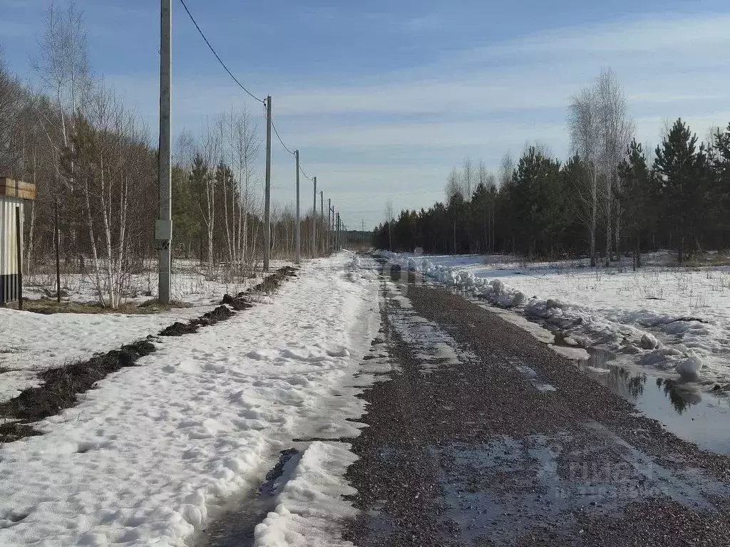 Участок в Курганская область, Шадринский муниципальный округ, с. Ключи ... - Фото 0