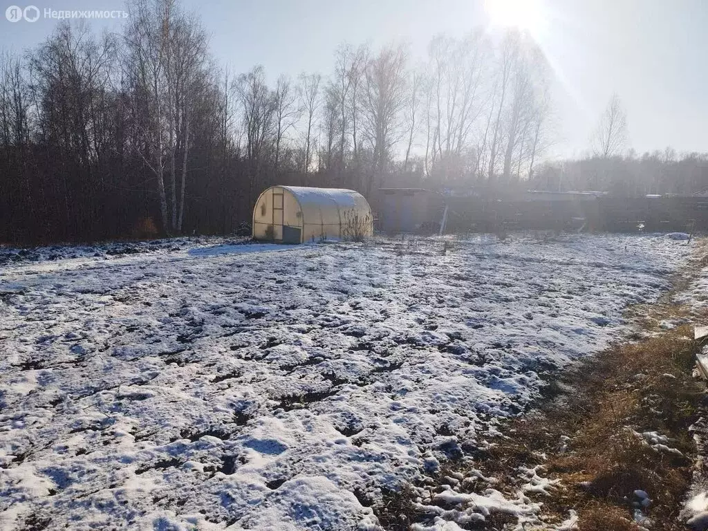 Участок в Бердск, СНТ Марьин Лог (8 м) - Фото 1