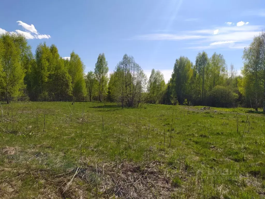 Участок в Тверская область, Кимрский муниципальный округ, д. Слободище ... - Фото 1