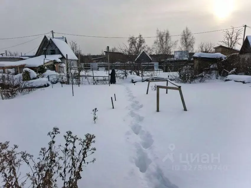 Участок в Курганская область, Кетовский муниципальный округ, д. ... - Фото 2