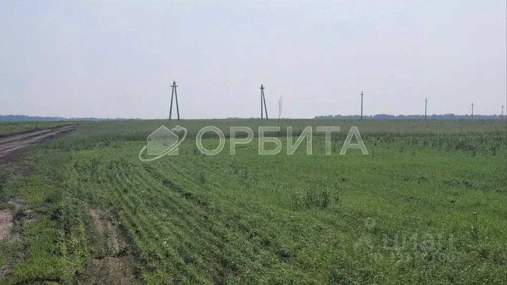 Участок в Тюменская область, Тюменский муниципальный округ, с. Луговое ... - Фото 1