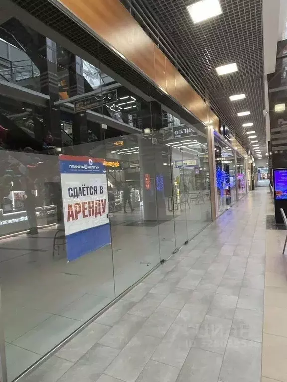 Торговая площадь в Санкт-Петербург ул. Марата, 86 (82 м) - Фото 2