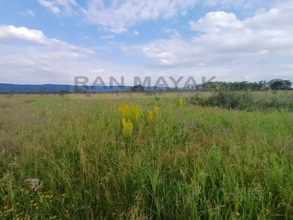 Участок в Адыгея, Майкопский район, Победенское с/пос, Шаумян хут.  ... - Фото 2