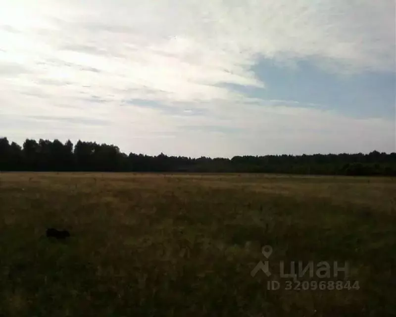 Участок в Смоленская область, Сафоновский муниципальный округ, ... - Фото 0