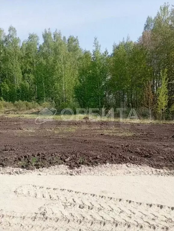 Участок 10,6 сот. (ИЖС) - Фото 1