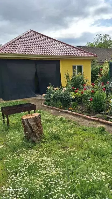 Комната Краснодарский край, Ейск ул. Павлова, 218 - Фото 0