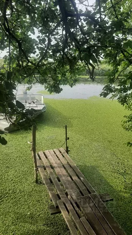 Дом в Ростовская область, Матвеево-Курганский район, Алексеевское ... - Фото 0