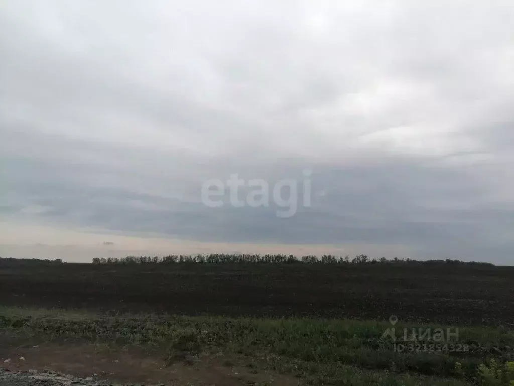 Участок в Белгородская область, Белгородский район, Головинское с/пос, ... - Фото 1