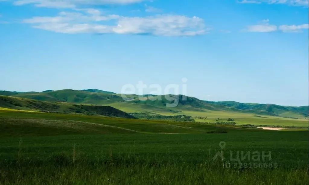 Участок в Алтайский край, Усть-Калманский район, с. Верх-Слюдянка ул. ... - Фото 1