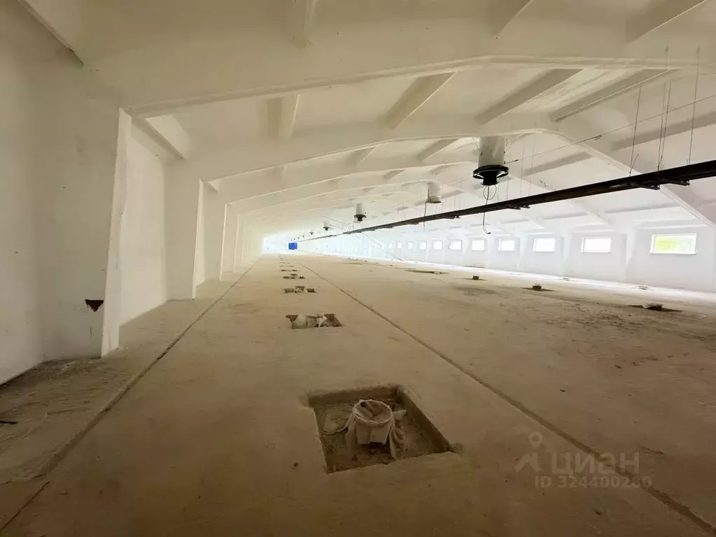 Помещение свободного назначения в Владимирская область, Владимир ... - Фото 1