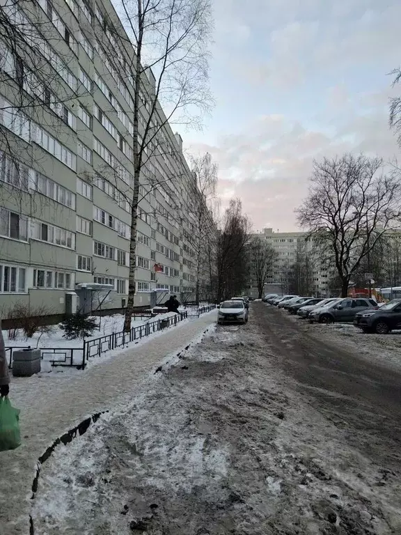 2-к кв. Санкт-Петербург просп. Просвещения, 20/25 (46.0 м) - Фото 2