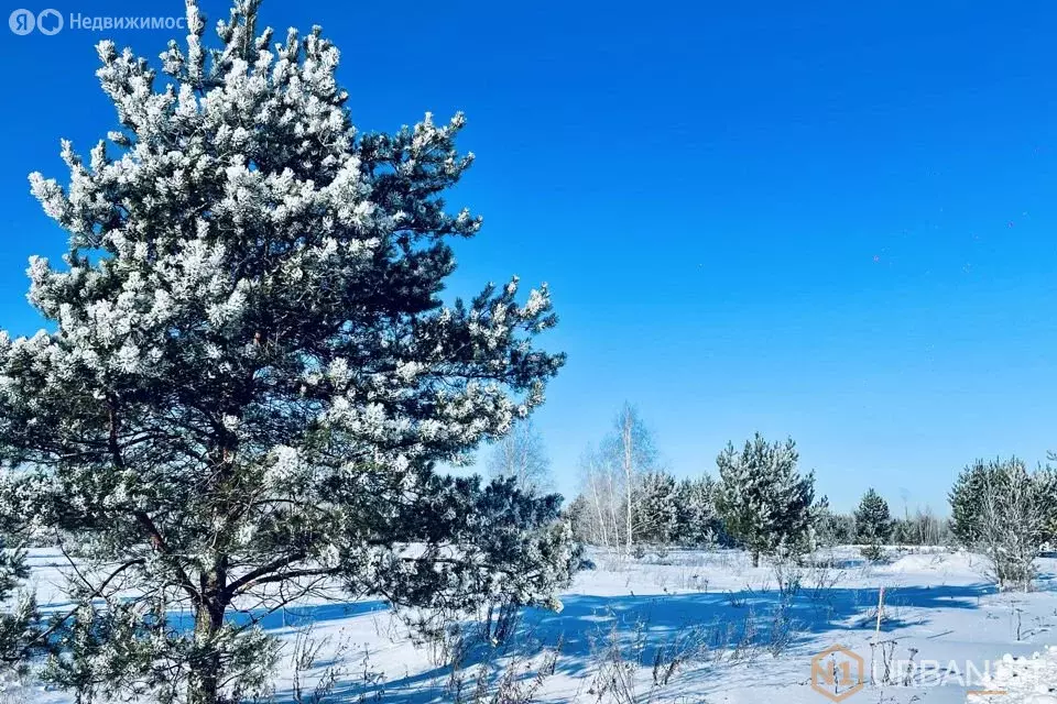 Участок в посёлок Солонцы, Берёзовая улица (10 м) - Фото 1