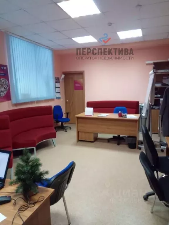 Офис в Курская область, Курск ул. Челюскинцев, 23 (127.0 м) - Фото 1