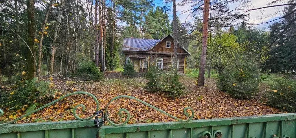 Участок 50,5 сот. (ИЖС) - Фото 1