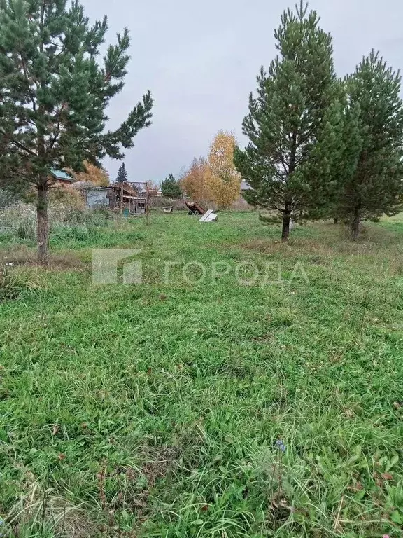Участок в Новосибирская область, Новосибирский район, Станционный ... - Фото 1