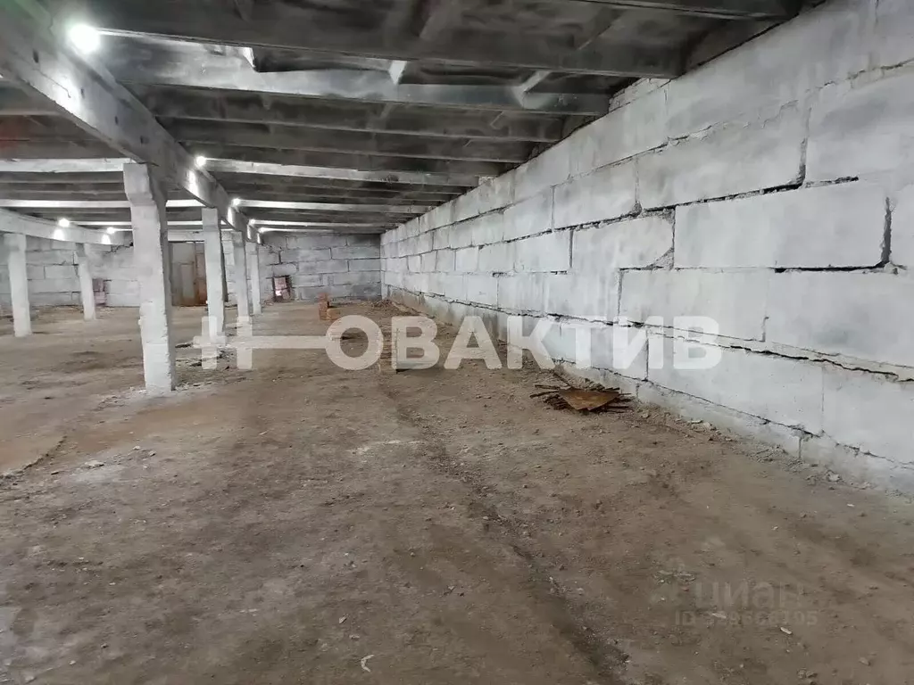 Помещение свободного назначения в Новосибирская область, Мошковский ... - Фото 1