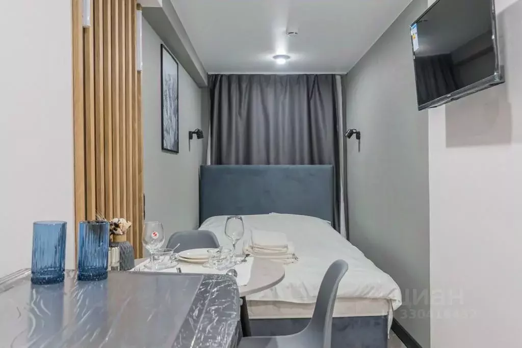 Студия Санкт-Петербург просп. Бакунина, 19-25 (14.6 м) - Фото 2