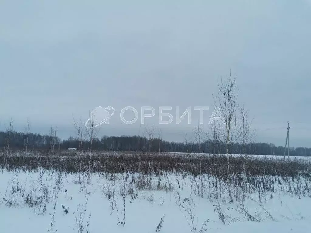 Участок в Тюменская область, Тюмень ул. Олега Антонова (6.0 сот.) - Фото 1