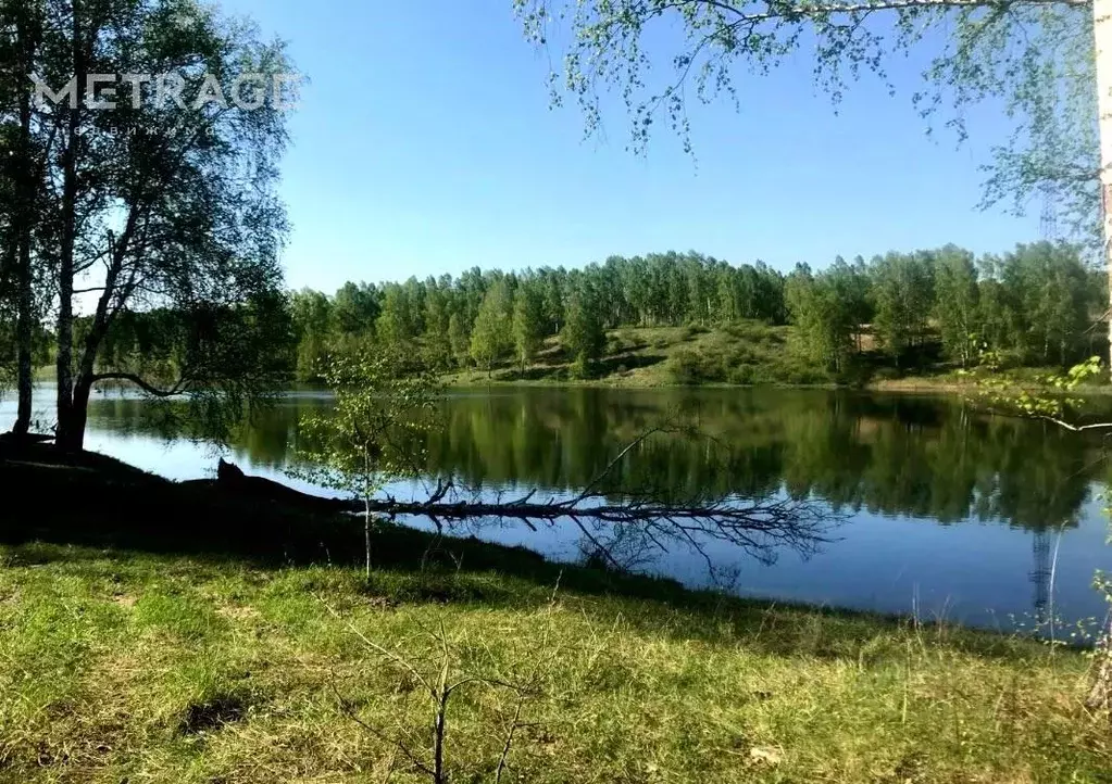 Участок в Новосибирская область, Новосибирский район, Станционный ... - Фото 1