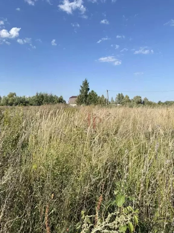 Участок в Татарстан, Нижнекамский район, Каенлинское с/пос, Березовая ... - Фото 2