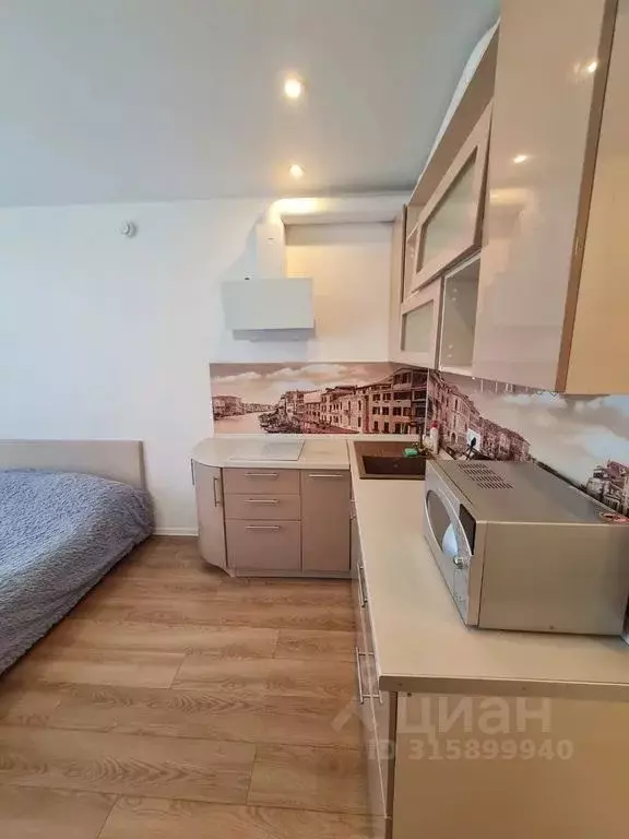 1-к кв. Московская область, Одинцово ул. Каштановая, 16 (27.0 м) - Фото 0