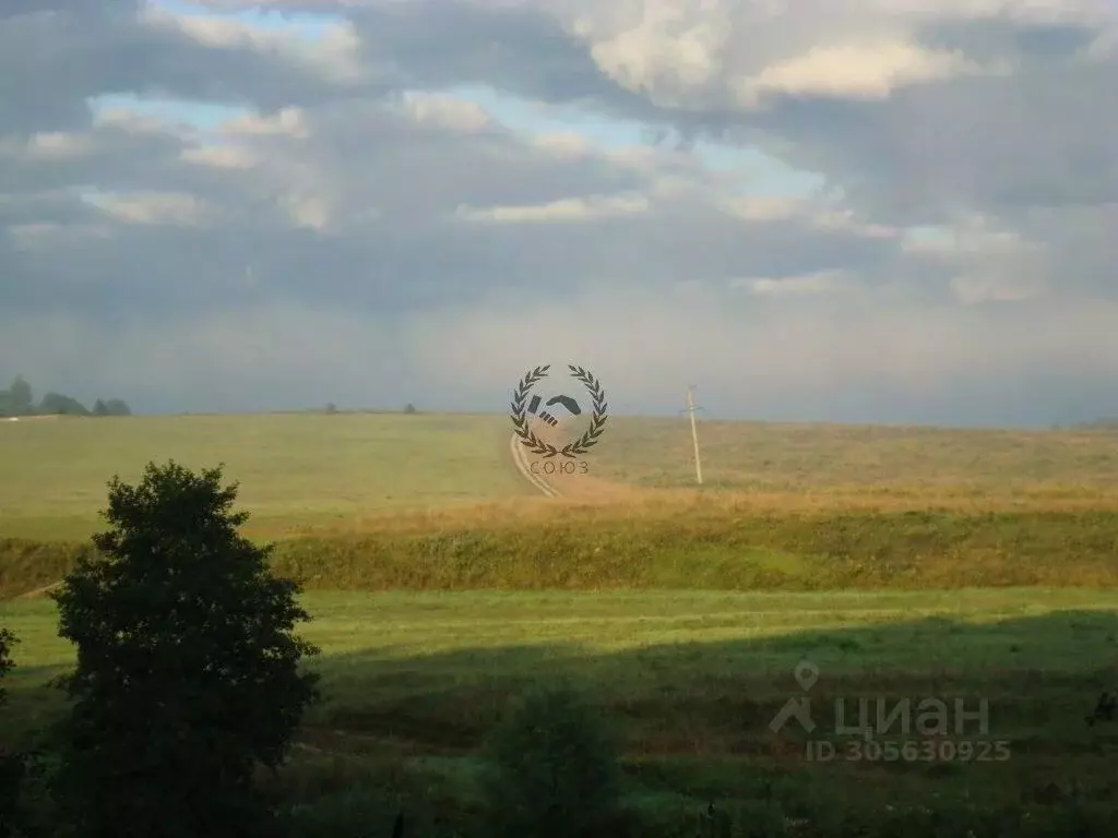 Участок в Калужская область, Тарусский район, Похвиснево с/пос, д. ... - Фото 2