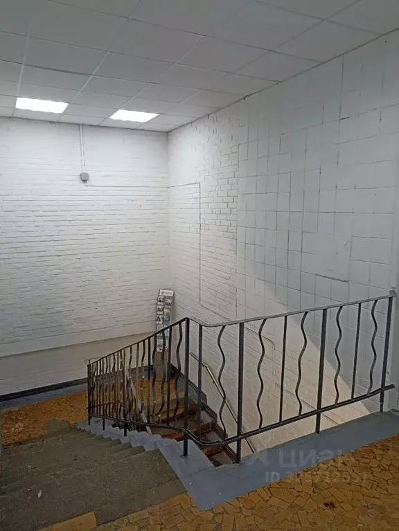 Помещение свободного назначения в Санкт-Петербург Наличная ул., 32К1 ... - Фото 1