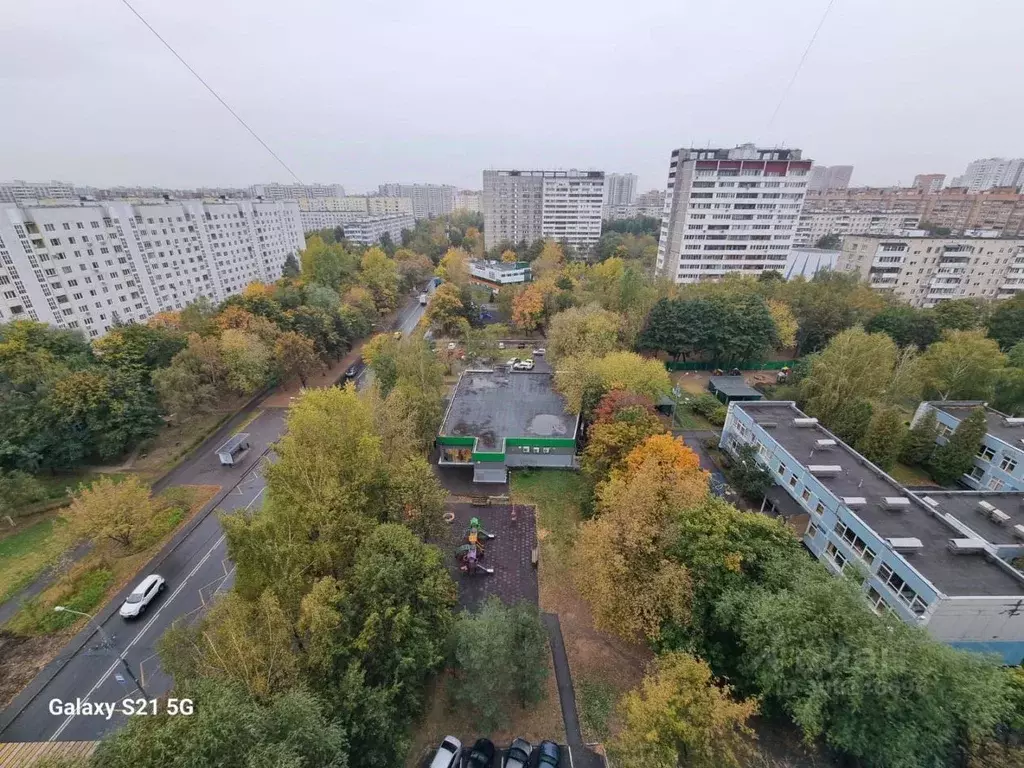 Комната Москва ул. Бестужевых, 13 (18.0 м) - Фото 0